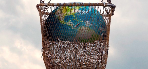 Seaspiracy: Mar Vermelho