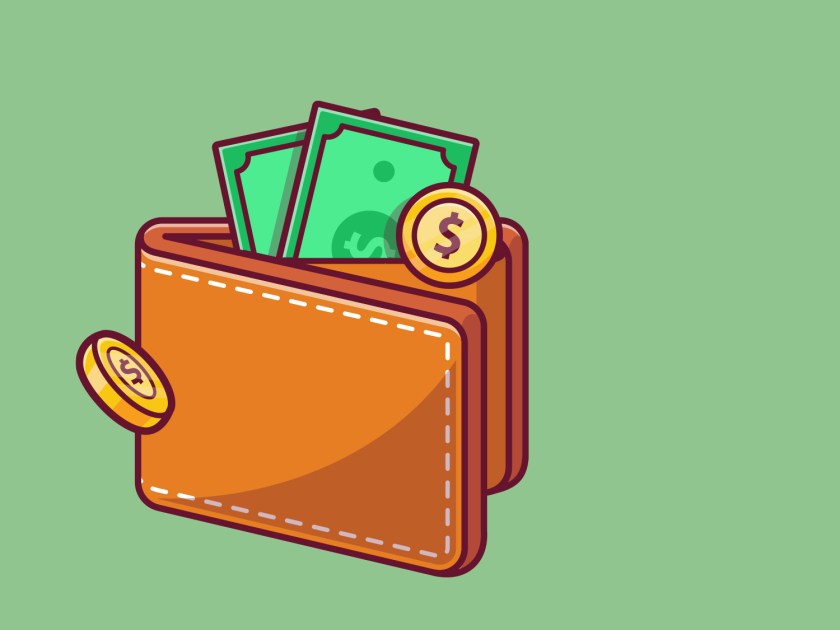 Carteira com dinheiro