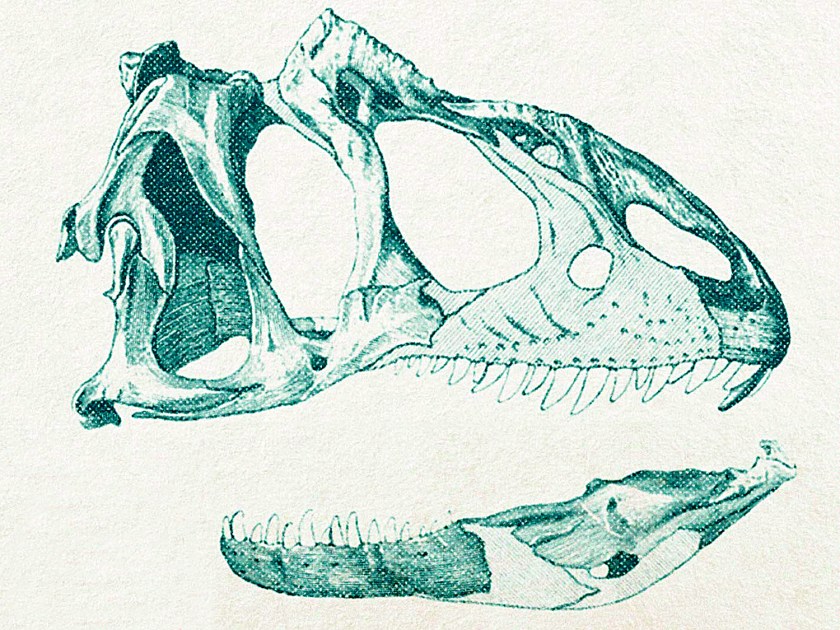 Animais pré-históricos