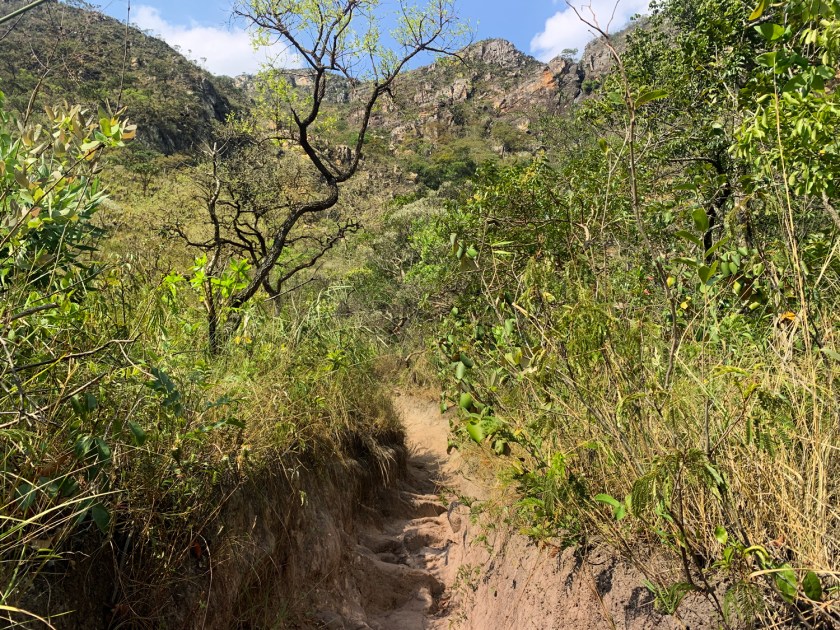 Trecho de trilha estreita