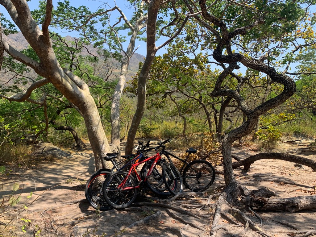 Última parada das bicicletas