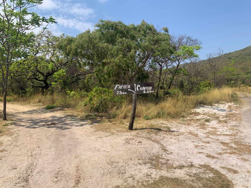 Placa na bifurcação