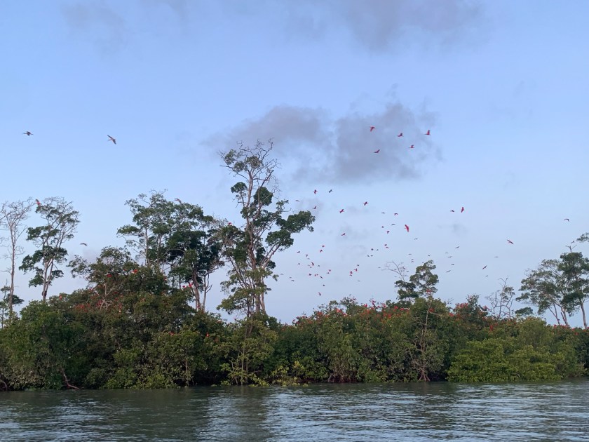 Retrospectiva de viagens em 2021