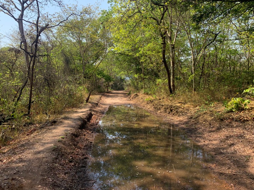 Poça de água da chuva