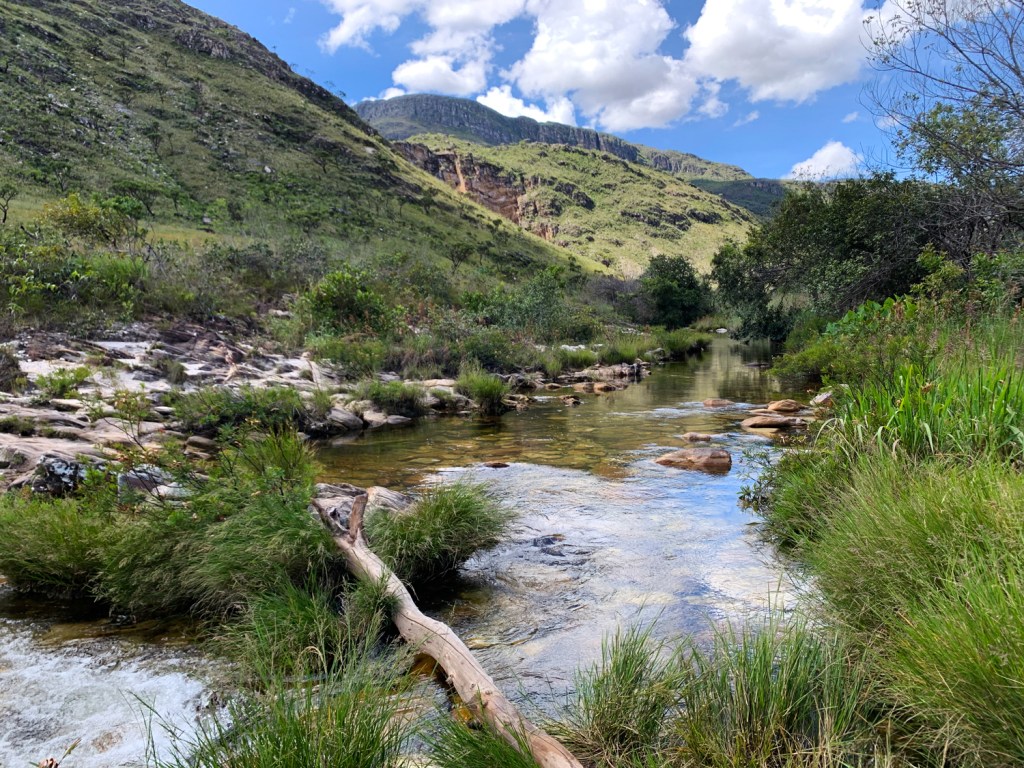 Travessia sobre tronco