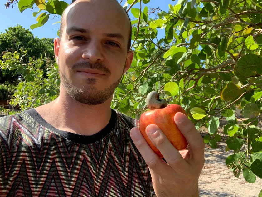 Parada para colher caju