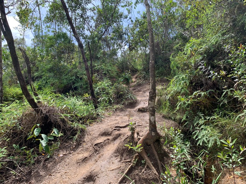 Descida para a cachoeira