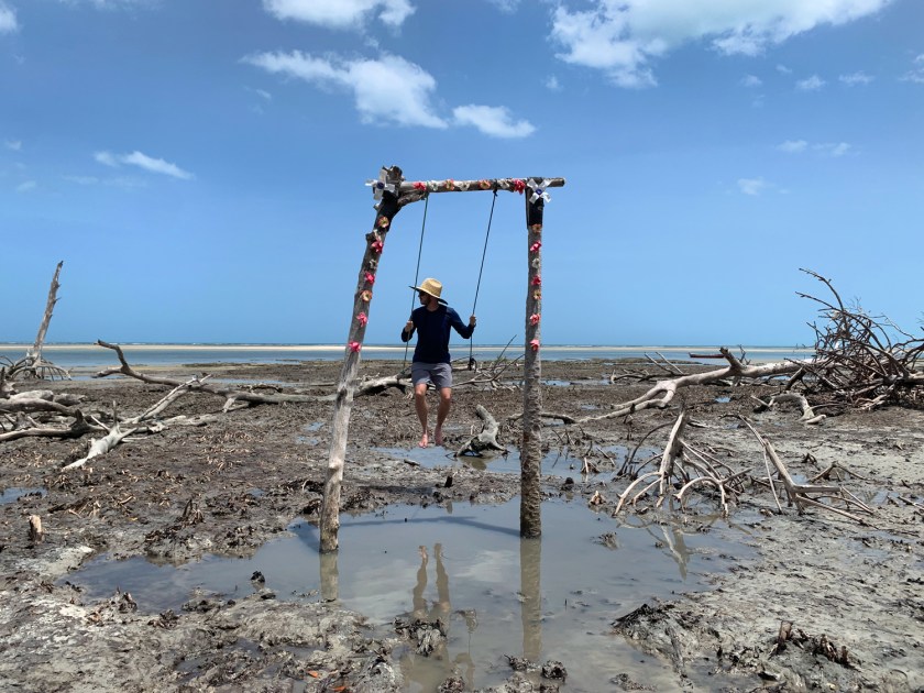 Balanço no mangue seco