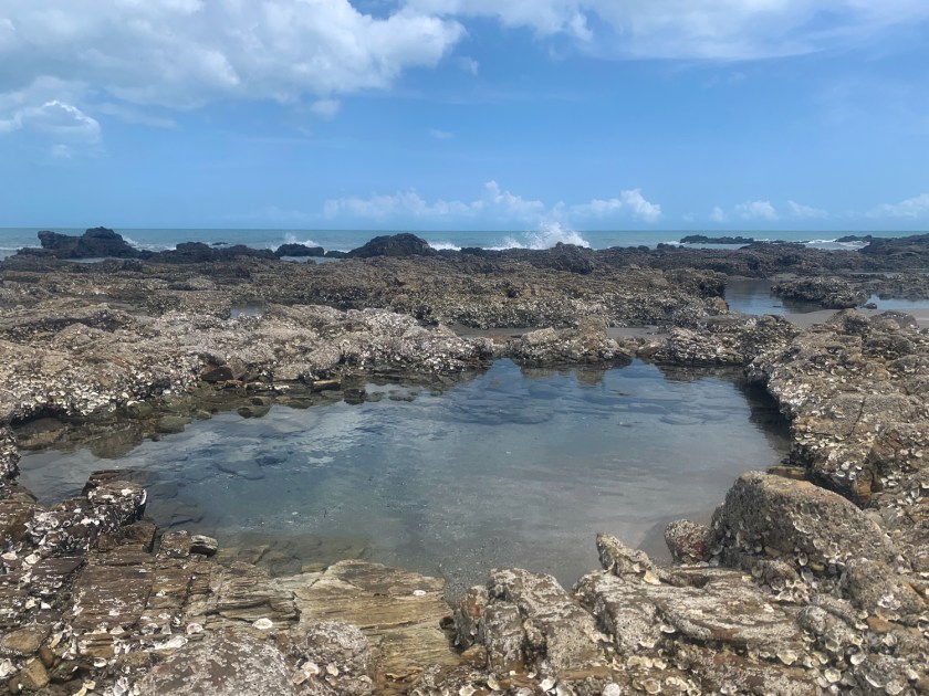 Piscina Natural Ananias