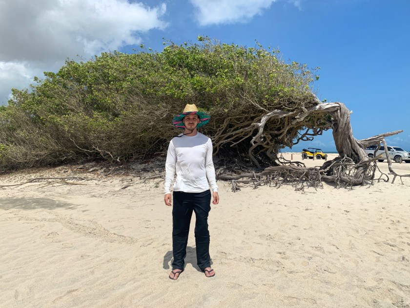 Árvore da Preguiça