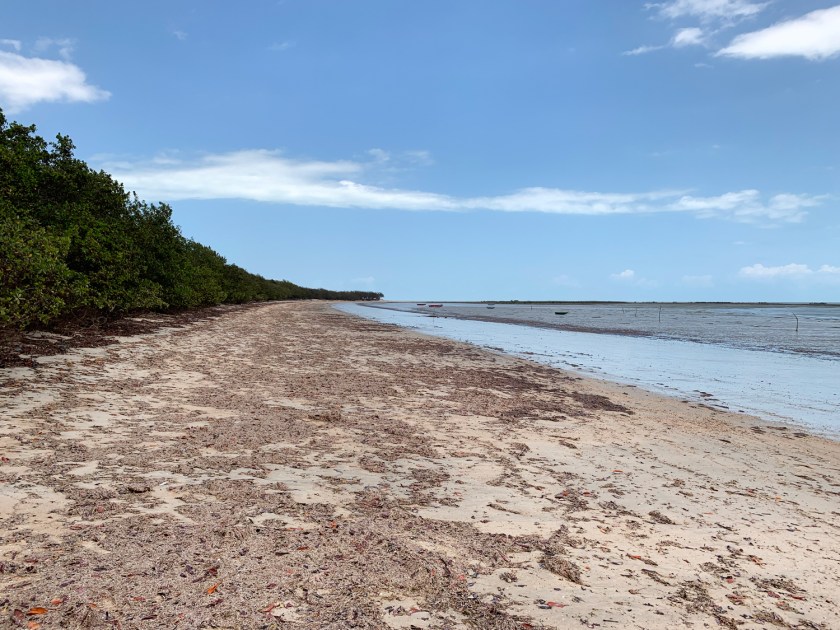 Extensão do Cajueiro Rei