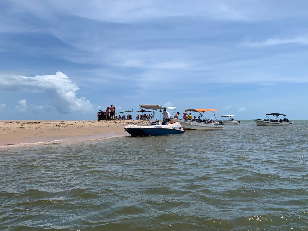 Ilha dos Poldros