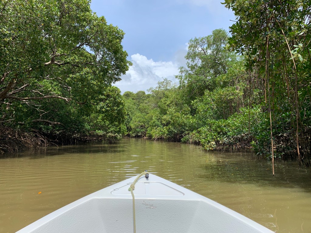 Igarapé dos Periquitos