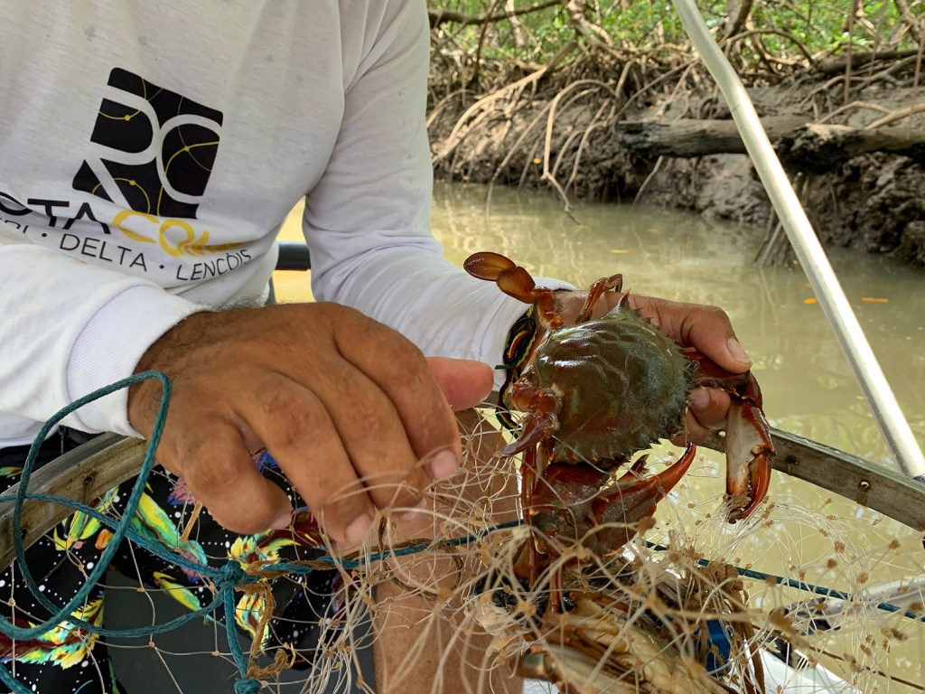 Pesca do caranguejo
