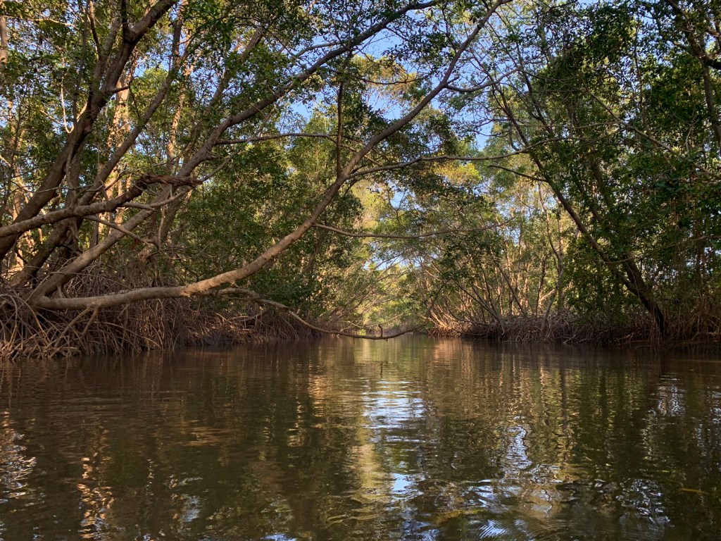 Passagem por igarapé