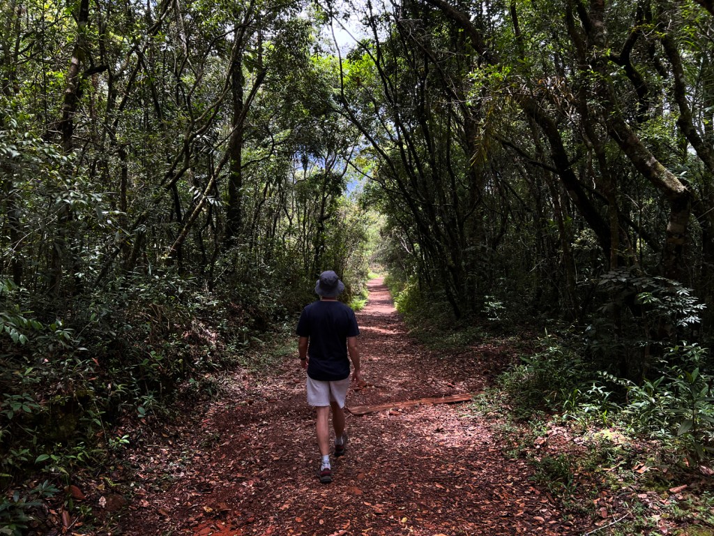 Início da caminhada