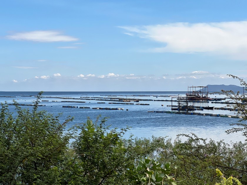 Piscicultura no lago