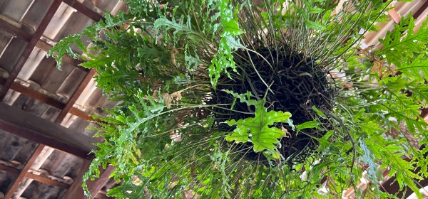 CanaBrava Bar e Restaurante