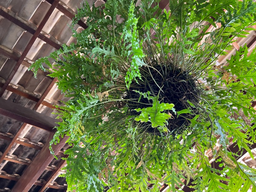 CanaBrava Bar e Restaurante