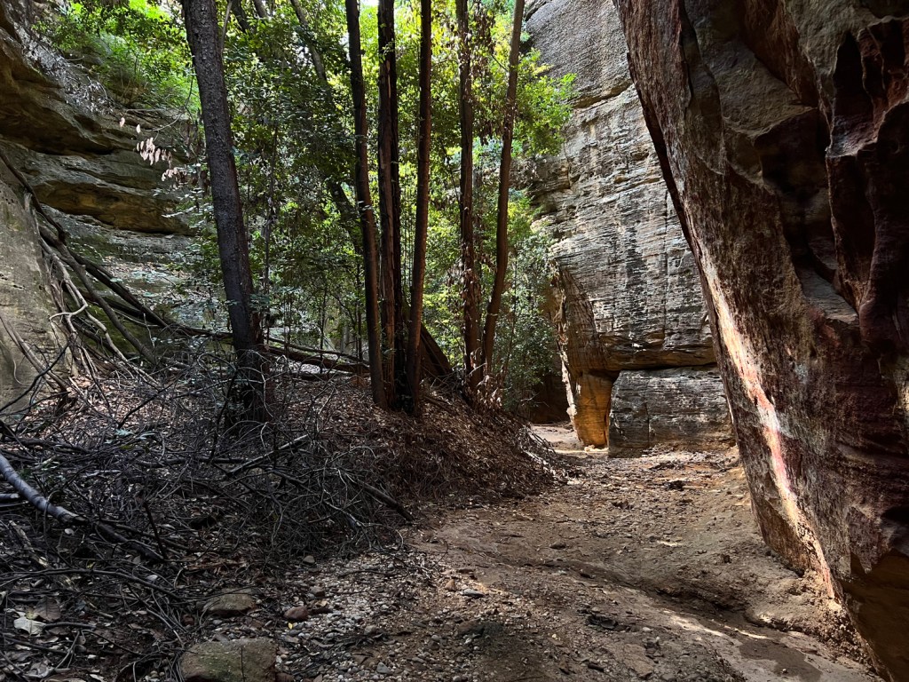 Caminho entre paredão e as árvores