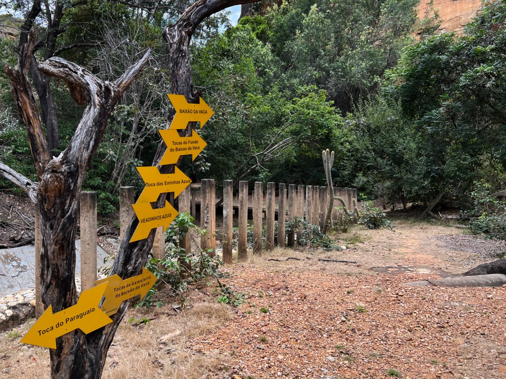 Setas para os atrativos