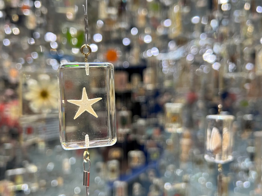 Fósseis cristalizados