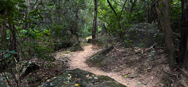Como chegar na Serra da Capivara