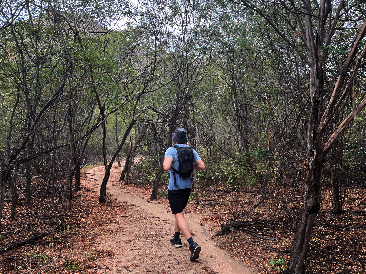 Mapa turístico da Serra da Capivara