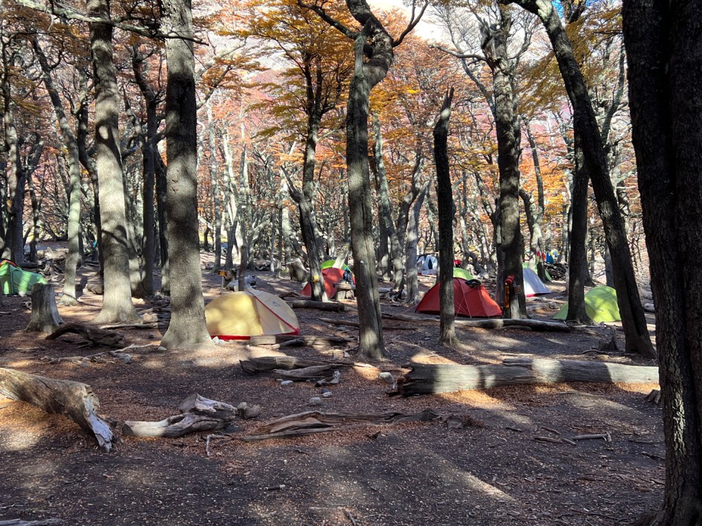 Campamento Poincenot