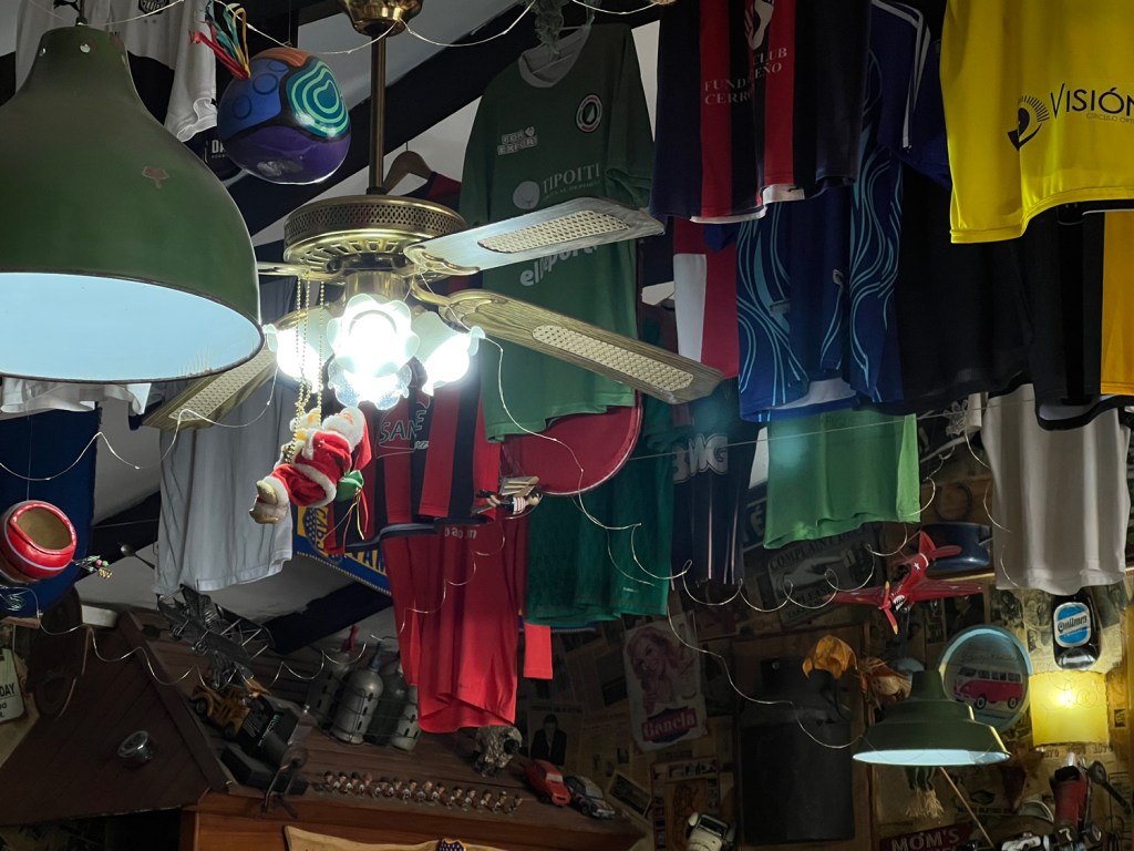 Ahonikenk Fonda Patagonica