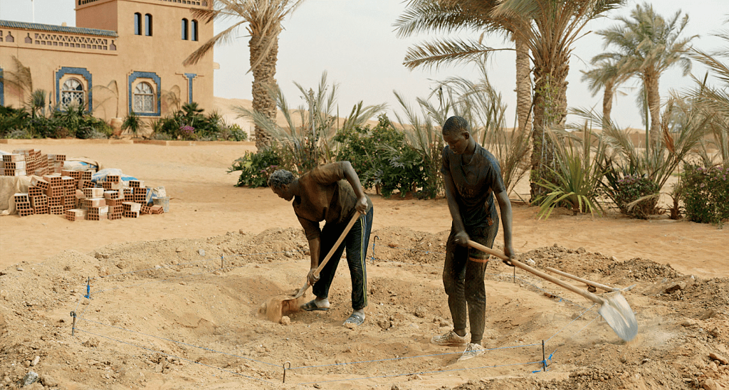 Trabalho análogo à escravidão