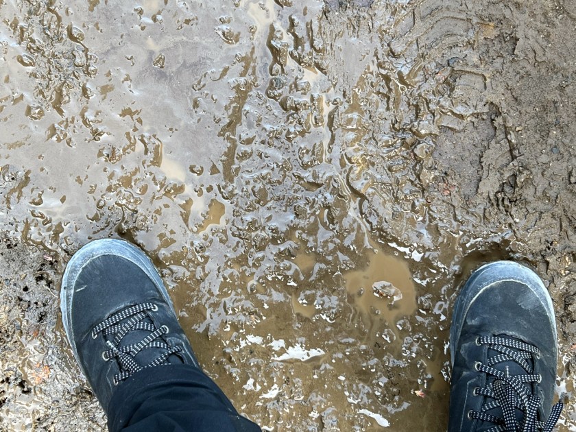 Poços de lama na trilha