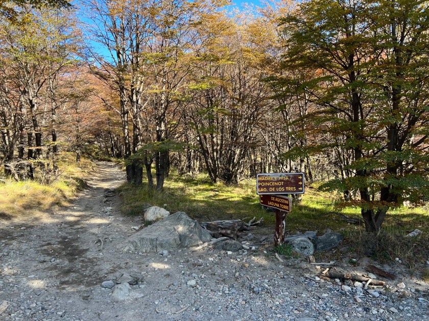 Bifurcação na trilha