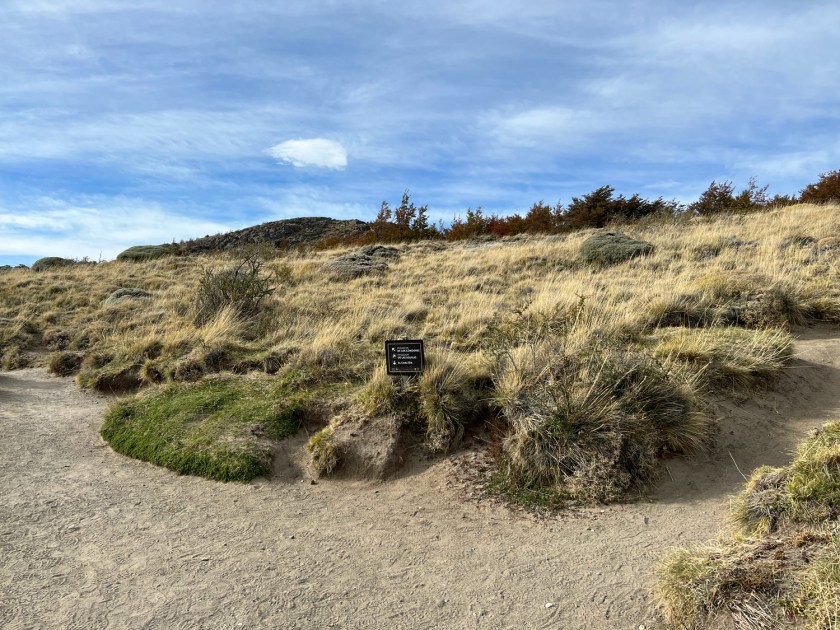 Bifurcação da trilha