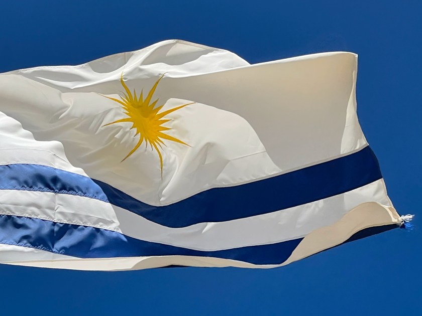 Bandeira branca com um sol no centro de duas linhas azuis grossas abaixo.