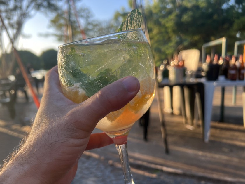 Mão segurando um drink de gin com mexerica e parque desfocado ao fundo.