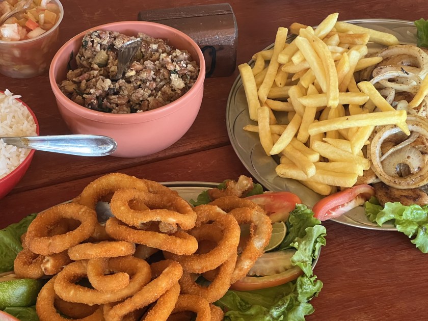 Porções de batata frita, bife acebolado, anéis de cebola, feijão, arroz e vinagrete servidas sobre mesa de madeira.