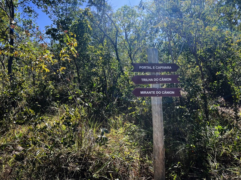 Placa de madeira com indicação de três trilhas e vegetação do cerrado ao fundo.